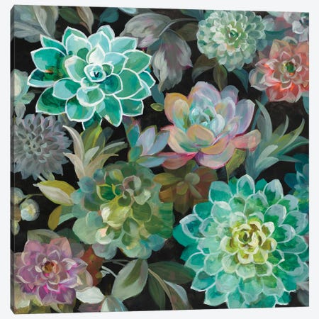 Floral Succulents In Zoom Canvas Print #WAC7202} by Danhui Nai Canvas Print