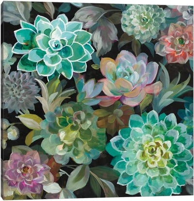 Floral Succulents In Zoom Canvas Art Print - Bohemian Décor