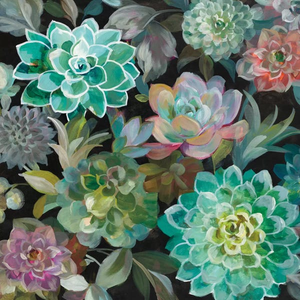 Succulents: Floral Succulents In Zoom by Danhui Nai