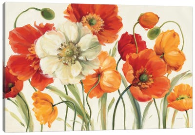 Poppies Melody I Canvas Art Print - Flower Art