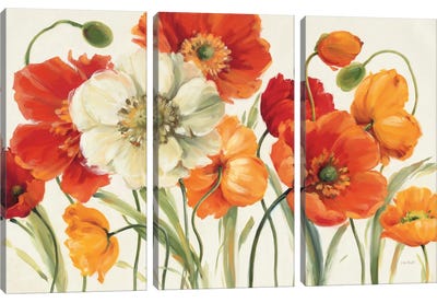Poppies Melody I Canvas Art Print - 3-Piece Floral & Botanical Art