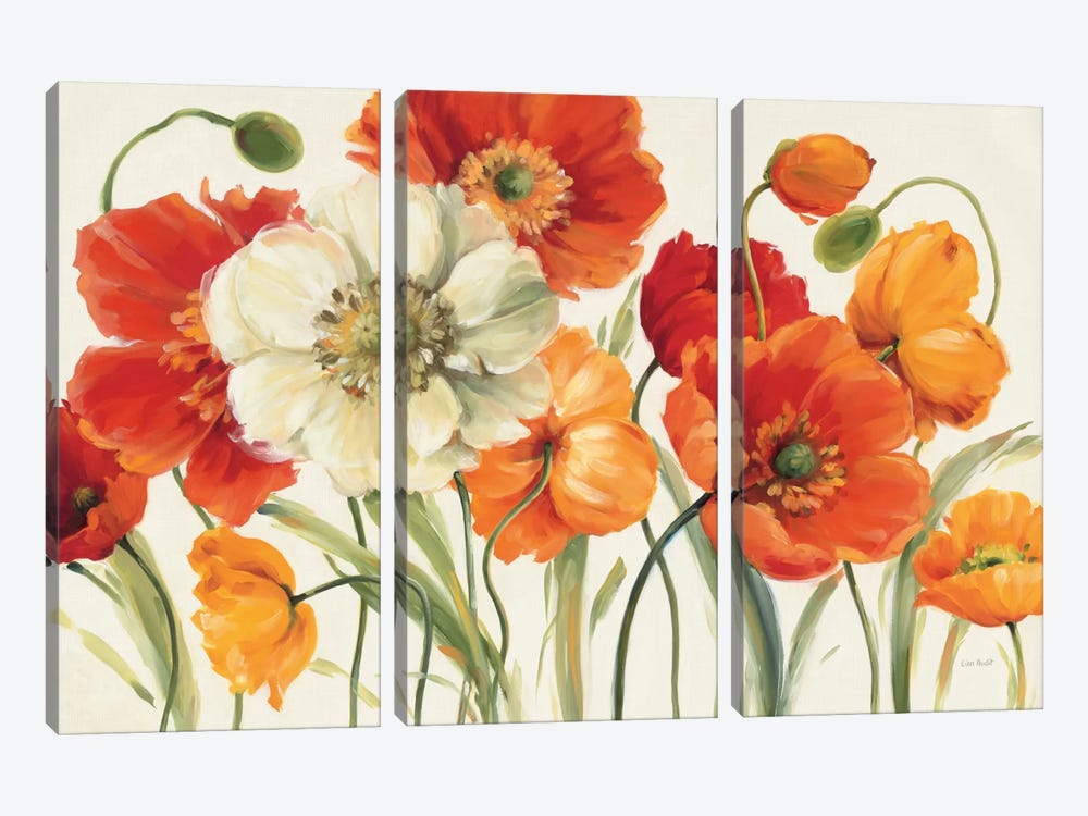 Poppies Melody I by Lisa Audit 3-piece Canvas Artwork