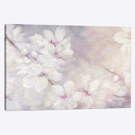 Cherry Blossoms Canvas Print #WAC7249} by Julia Purinton Canvas Art Print