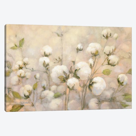 Cotton Field Canvas Print #WAC7251} by Julia Purinton Canvas Artwork