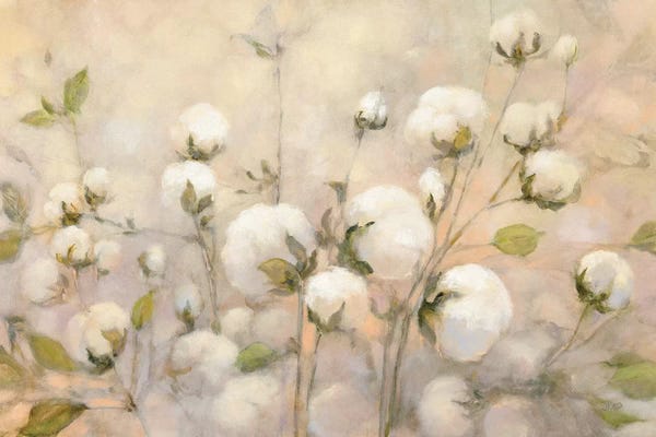 Julia Purinton: Cotton Field by Julia Purinton