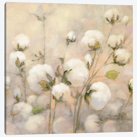 Cotton Field, Close Up Canvas Print #WAC7252} by Julia Purinton Canvas Wall Art