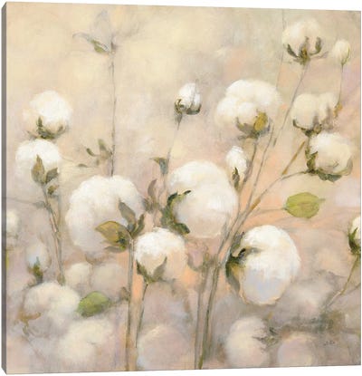 Cotton Field, Close Up Canvas Art Print