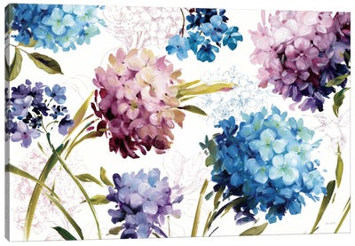 Spring Nectar I Laurie Canvas Art Print - Lisa Audit