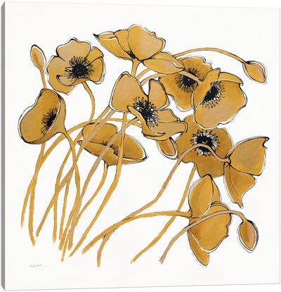 Gold Black Line Poppies II Canvas Art Print - Shirley Novak