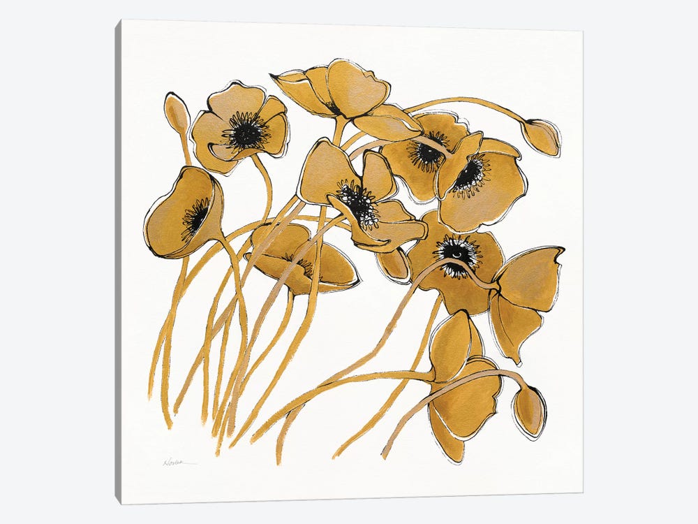 Gold Black Line Poppies II by Shirley Novak 1-piece Canvas Art