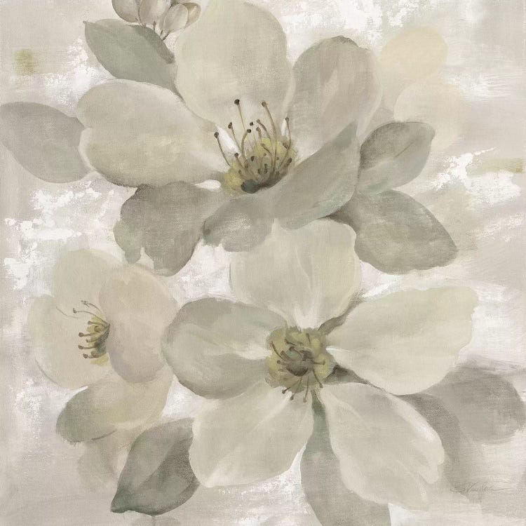 White On White Floral I by Silvia Vassileva wall art