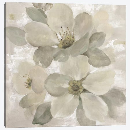 White On White Floral I Canvas Print #WAC7337} by Silvia Vassileva Canvas Art