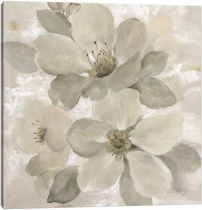 White On White Floral I Canvas Art Print - Nature Close-Up Art