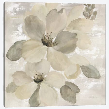 White On White Floral II Canvas Print #WAC7338} by Silvia Vassileva Canvas Art Print
