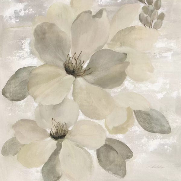 Nature Close-Ups: White On White Floral II by Silvia Vassileva