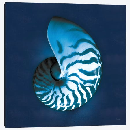 Cyanotype Sea I Canvas Print #WAC7339} by Sue Schlabach Art Print