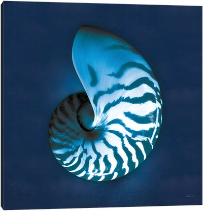 Cyanotype Sea I Canvas Art Print - Sue Schlabach