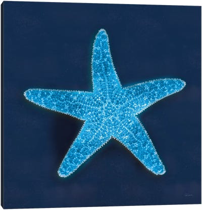 Cyanotype Sea III Canvas Art Print - Starfish Art