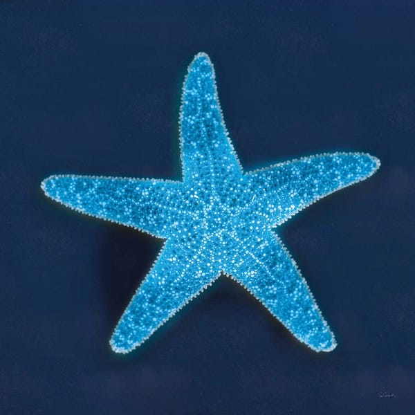 Sue Schlabach: Cyanotype Sea III by Sue Schlabach