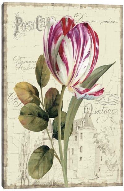 Garden View II Tulip Canvas Art Print - Gardening Art