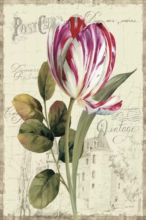 Garden View II Tulip by Lisa Audit wall art