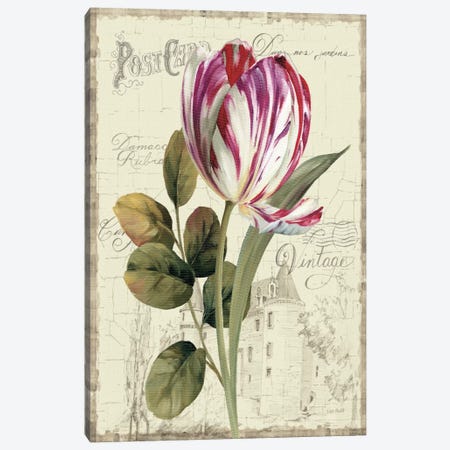 Garden View II Tulip Canvas Print #WAC742} by Lisa Audit Canvas Art Print