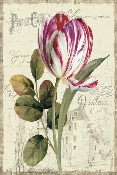 Tulips: Garden View II Tulip by Lisa Audit