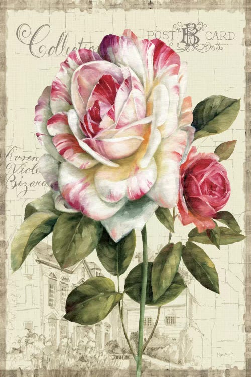 Garden View III Rose by Lisa Audit wall art