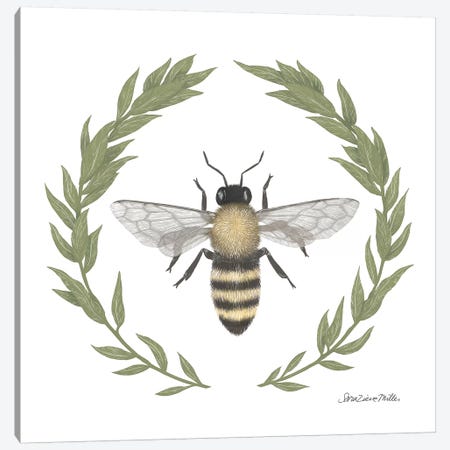 Happy To Bee Home I Canvas Print #WAC7444} by Sara Zieve Miller Canvas Art