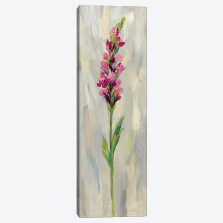 Single Stem Flower IV Canvas Print #WAC7455} by Silvia Vassileva Art Print