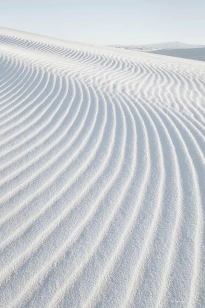 Coastal Sand Dunes: White Sands I, No Border by Alan Majchrowicz