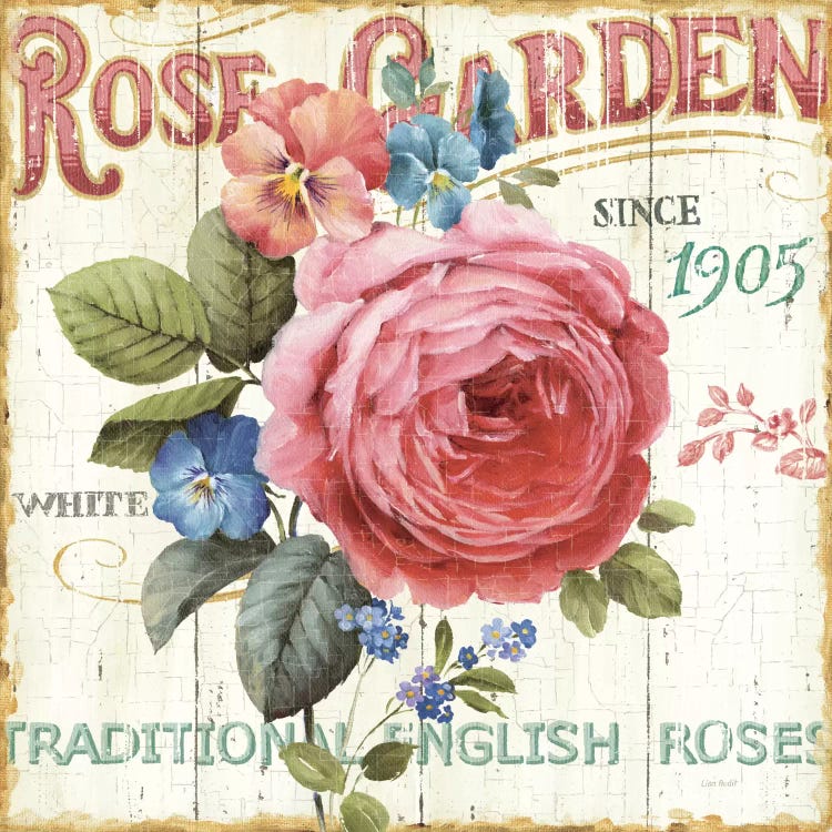 Rose Garden I  by Lisa Audit wall art