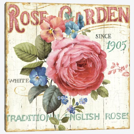 Rose Garden I  Canvas Print #WAC754} by Lisa Audit Canvas Print