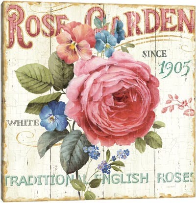 Rose Garden I  Canvas Art Print - Gardening Art