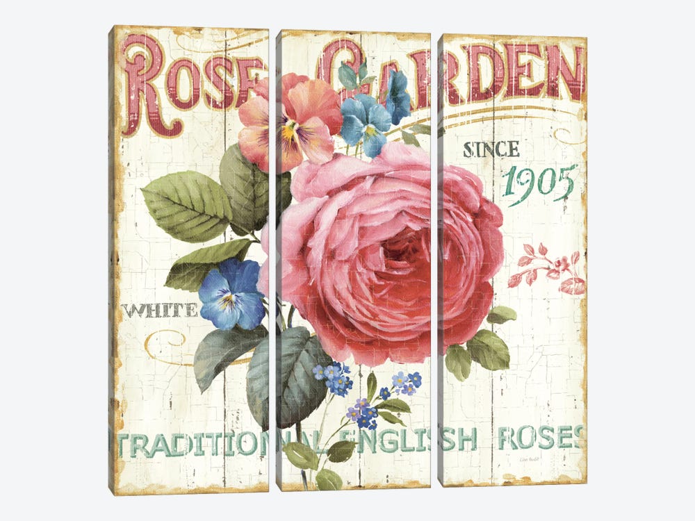 Rose Garden I  by Lisa Audit 3-piece Canvas Artwork