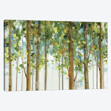 Forest Study I Crop Canvas Print #WAC755} by Lisa Audit Canvas Print
