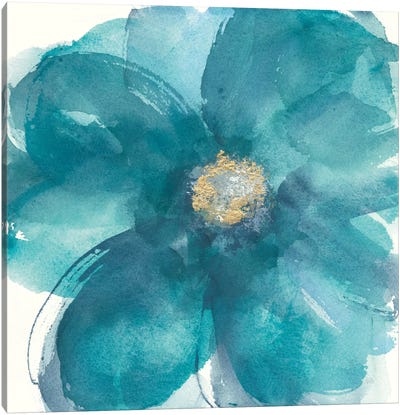Bloom Beauty II Canvas Art Print - Chris Paschke