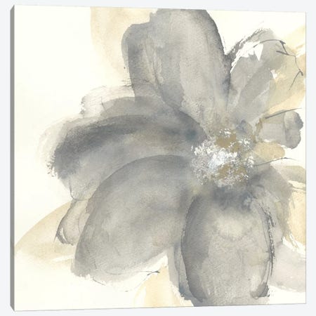Floral Gray I Canvas Print #WAC7576} by Chris Paschke Canvas Wall Art