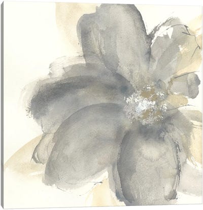 Floral Gray I Canvas Art Print - Chris Paschke