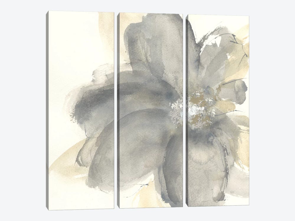 Floral Gray I by Chris Paschke 3-piece Canvas Art Print