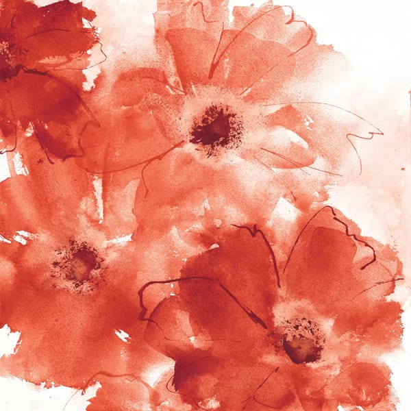 Nature Close-Ups: Seashell Cosmos II: Red And Orange by Chris Paschke