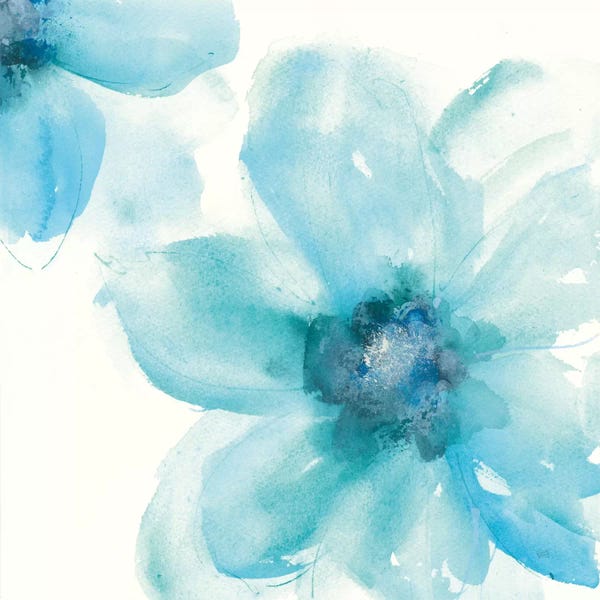 Floral Close-Ups: Teal Cosmos I by Chris Paschke