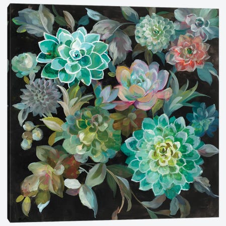Floral Succulents Canvas Print #WAC7636} by Danhui Nai Canvas Art Print