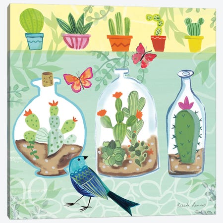 Cacti Garden I Canvas Print #WAC7689} by Farida Zaman Canvas Art Print