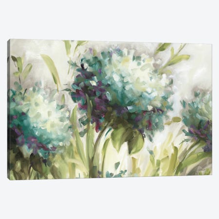 Hydrangea Field Canvas Print #WAC770} by Lisa Audit Canvas Artwork