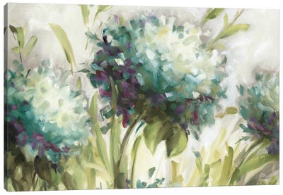 Hydrangea Field Canvas Art Print - Cream Art