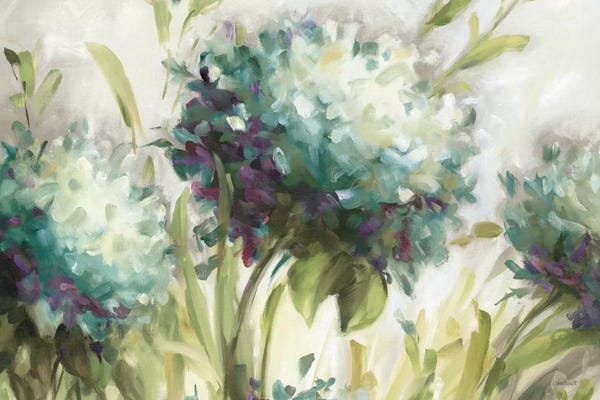 Lisa Audit: Hydrangea Field by Lisa Audit