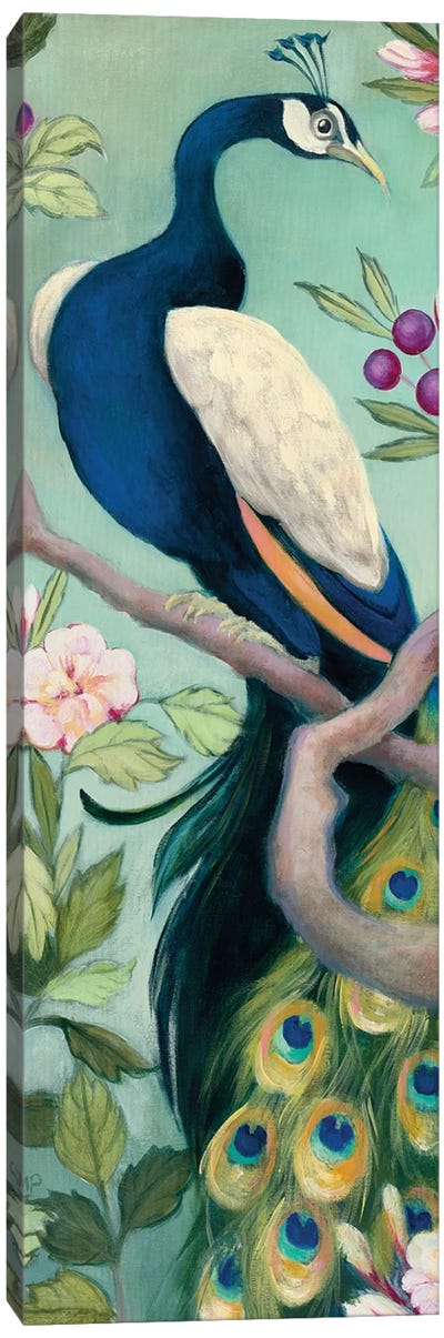 Pretty Peacock I Canvas Art Print - Julia Purinton