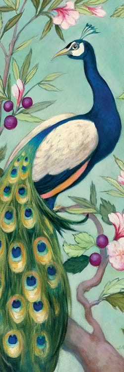 Pretty Peacock II by Julia Purinton wall art