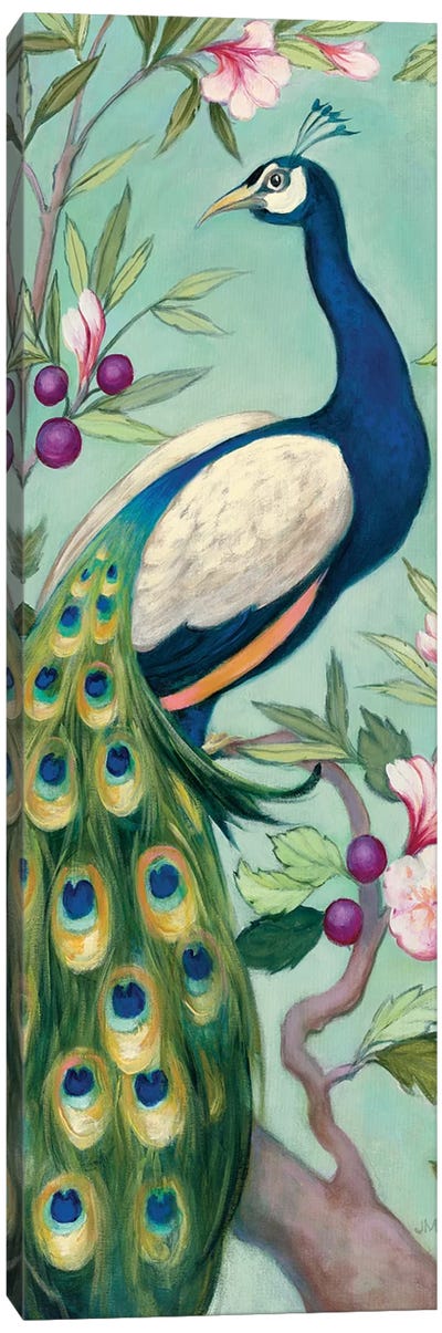 Pretty Peacock II Canvas Art Print - Julia Purinton